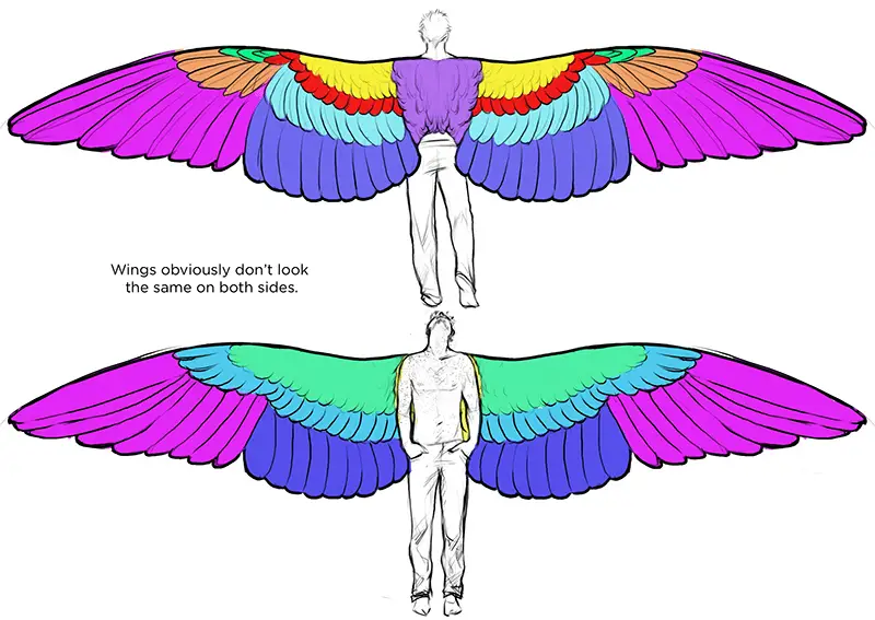Wings Drawing Reference 12