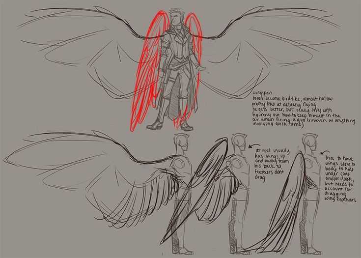 Wings Drawing Reference 5