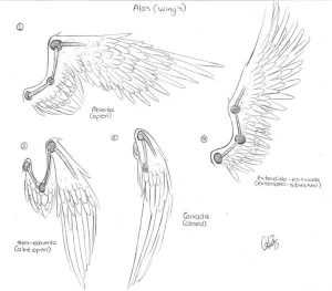 Read more about the article Wings Drawing Reference: Ultimate Collection for Artists