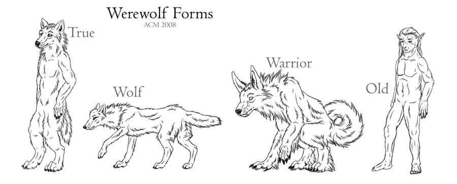 Wolf Drawing Reference 40