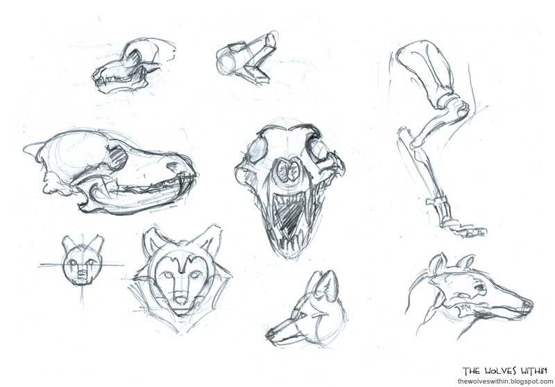 Wolf Skull Drawing Reference 9