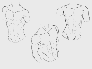 Featured image for anime abs drawing