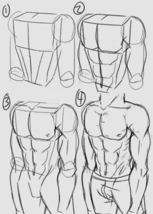 Anime Abs Drawing 4
