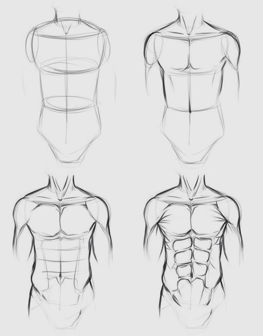 Anime Abs Drawing 5