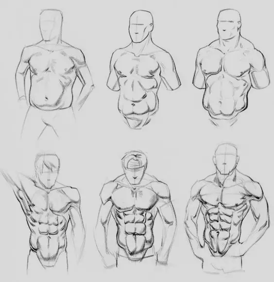 Anime Abs Drawing 8
