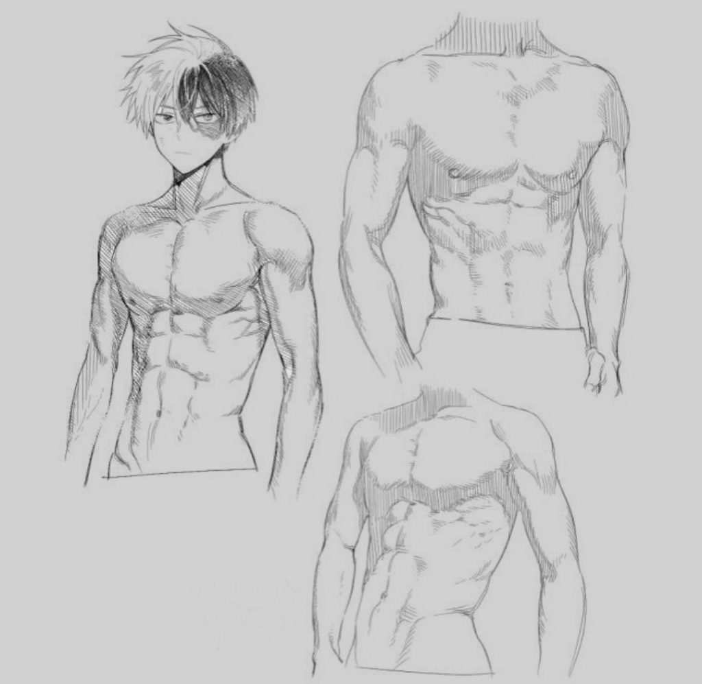 Anime Abs Reference 13 1024x997