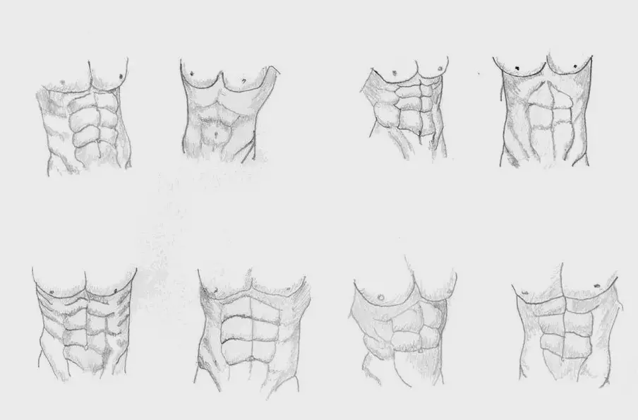 Anime Abs Reference 14