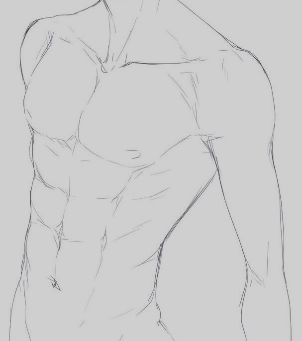 Anime Abs Reference 15