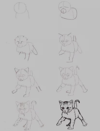 Anime Cat Drawing 11