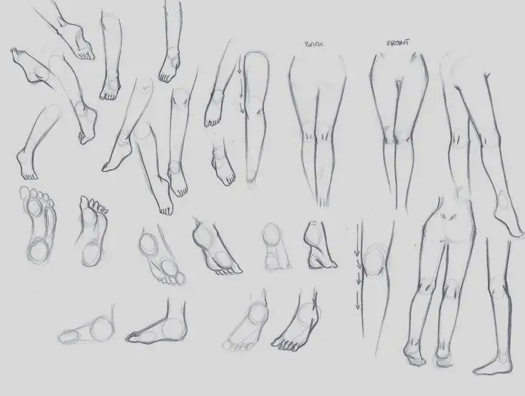 Anime Legs Reference 4