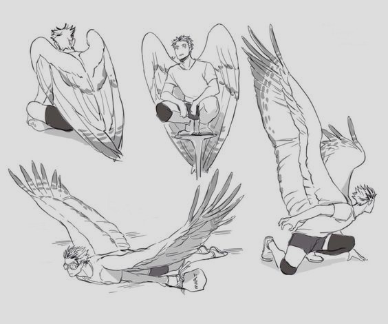 Anime Wings Drawing 10