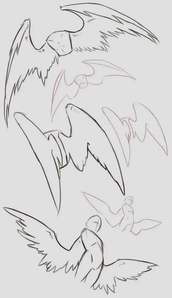 Anime Wings Drawing 9