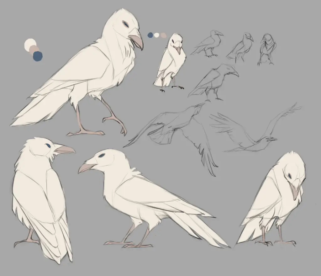 Bird Reference Drawing 18 1024x880