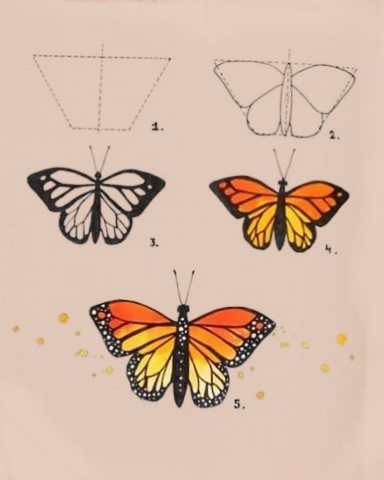Butterfly Drawing Reference 10