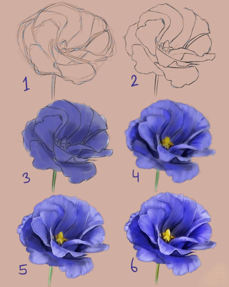 Flower Drawing Reference 10