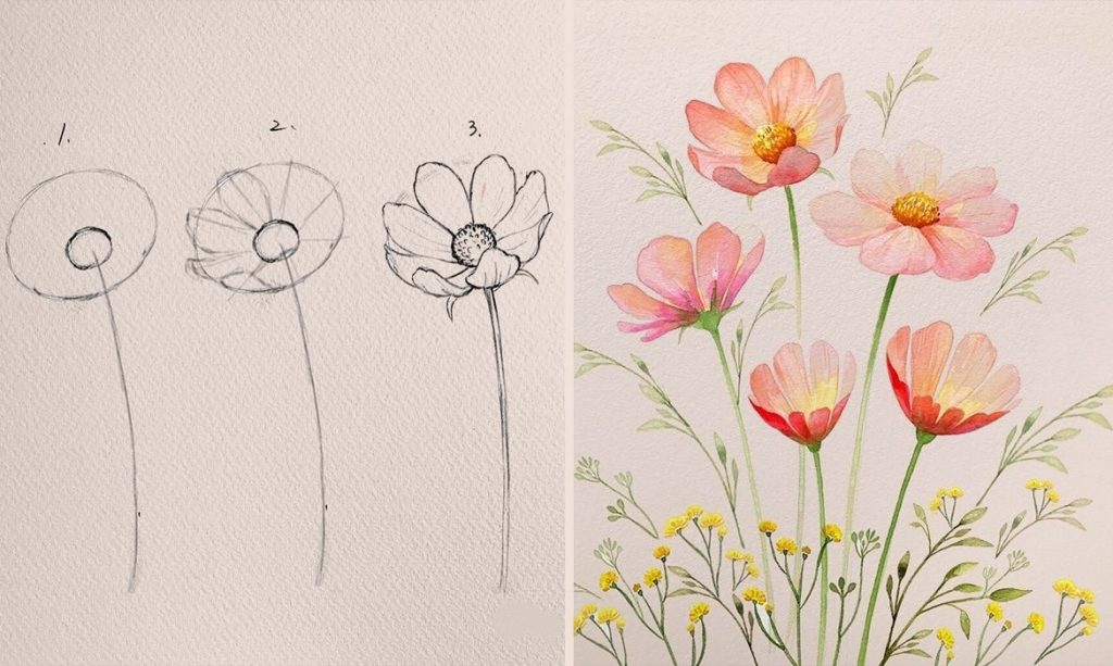 Flower Drawing Reference 11 1024x613