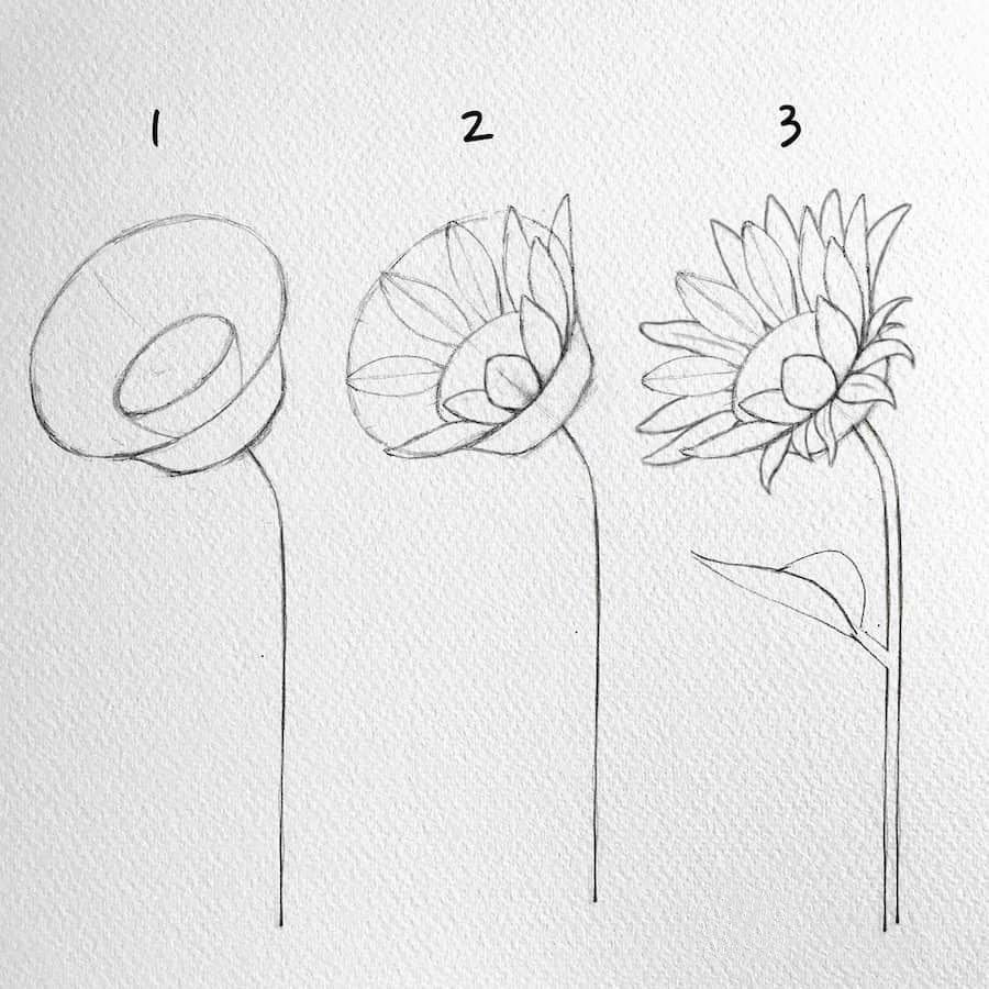 Flower Drawing Reference 12 1