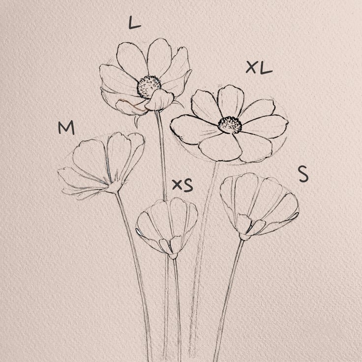 Flower Drawing Reference 13