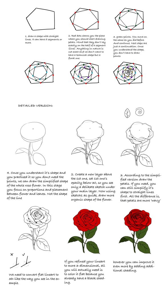 Flower Drawing Reference 25 578x1024