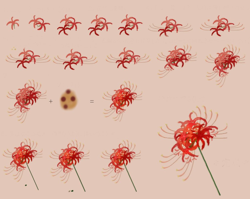 Flower Drawing Reference 40 1024x814