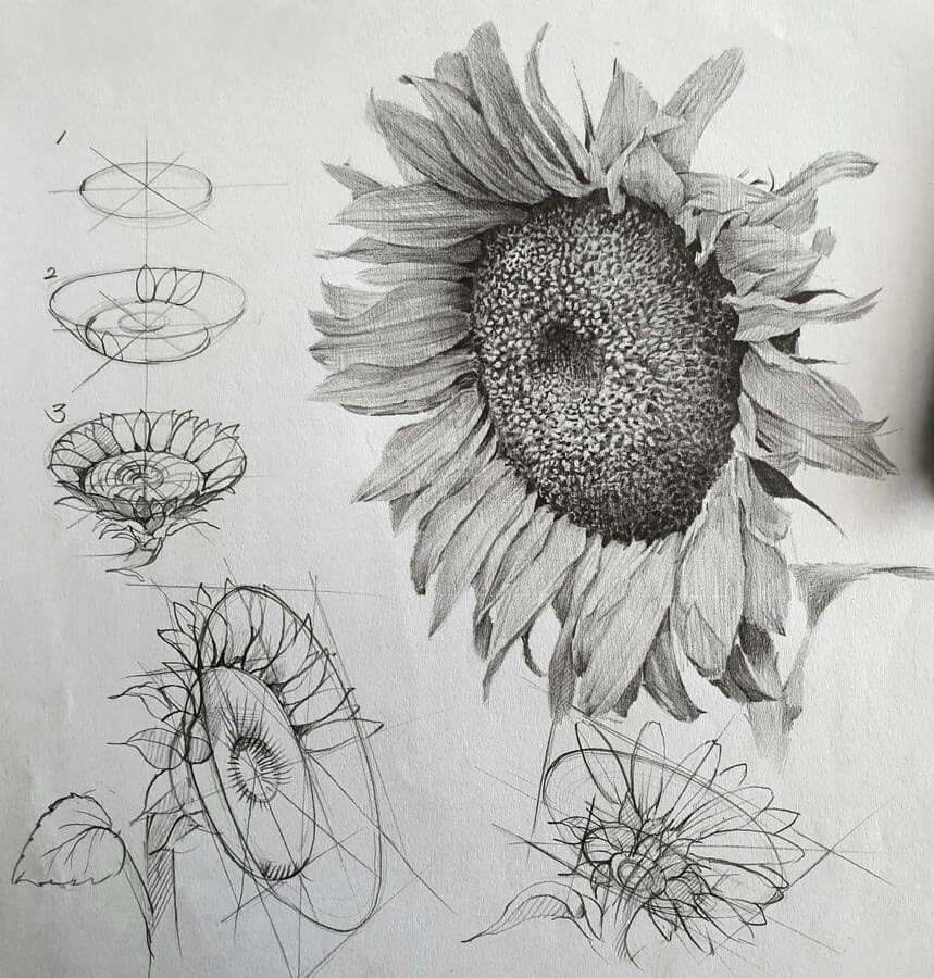 Flower Drawing Reference 48