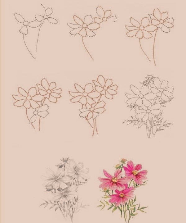 Flower Drawing Reference 50