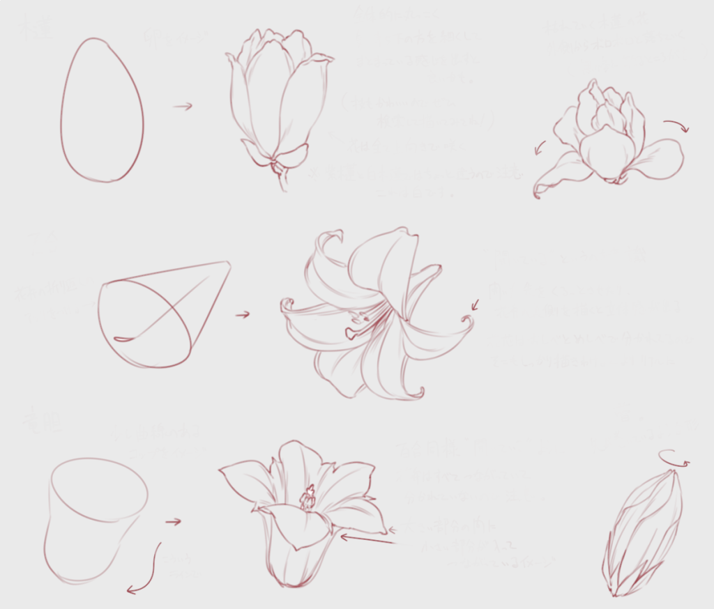 Flower Drawing Reference 6 1024x874