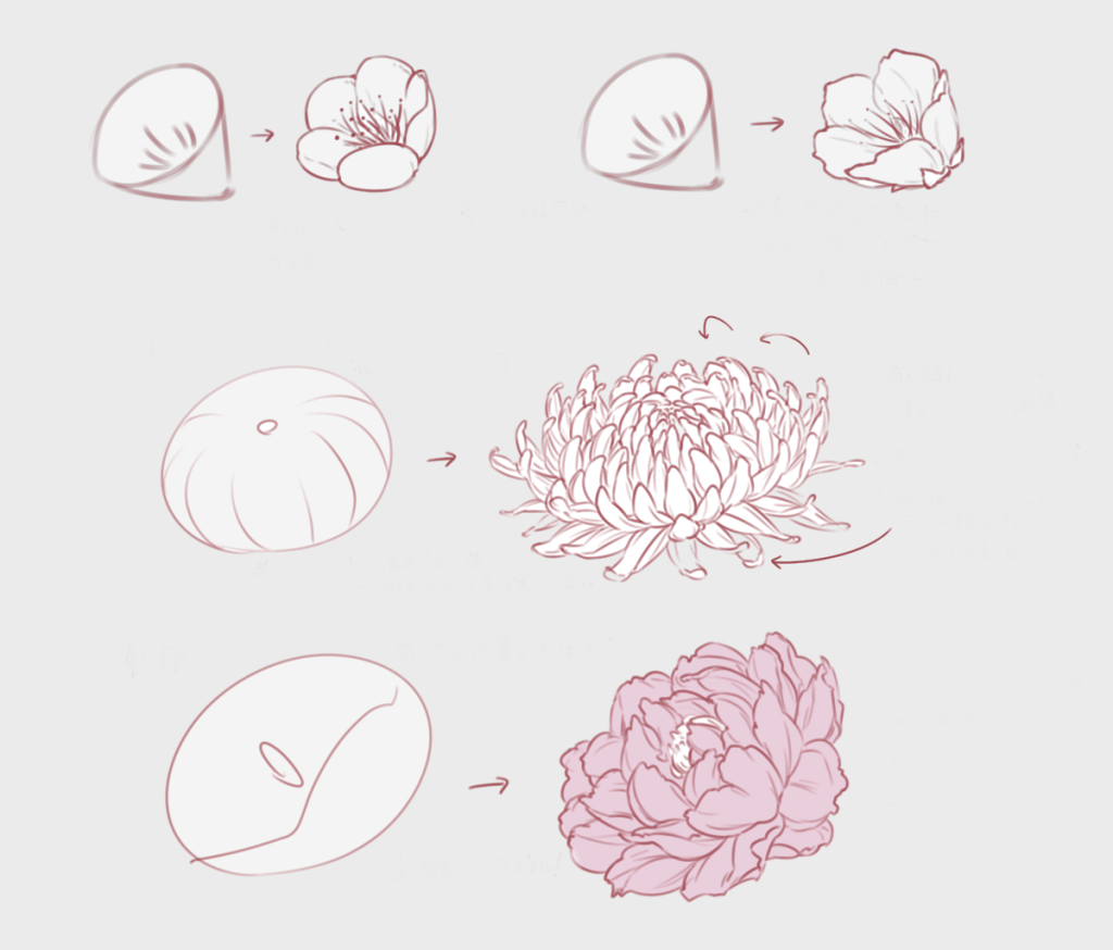 Flower Drawing Reference 7 1024x874