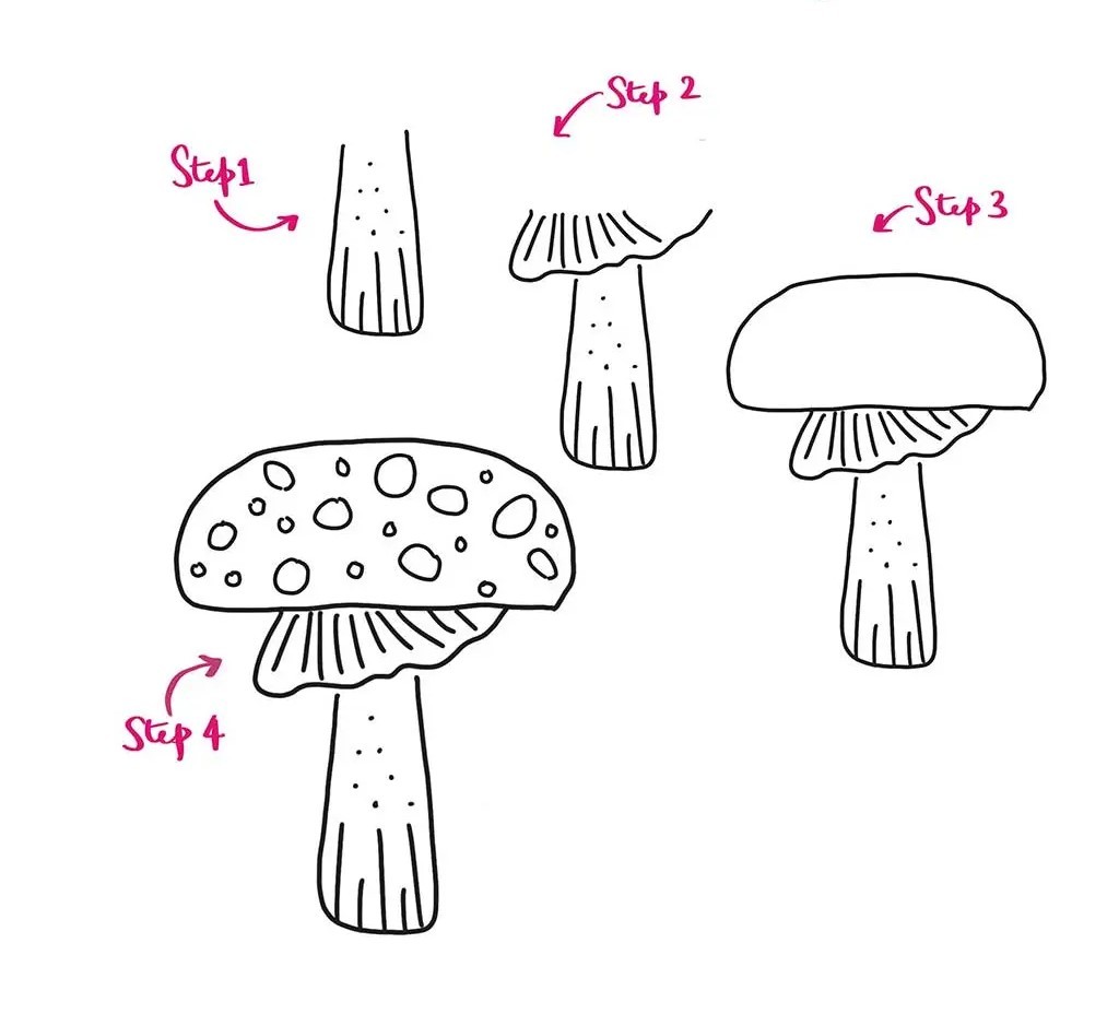 Mushroom Drawing Reference 1