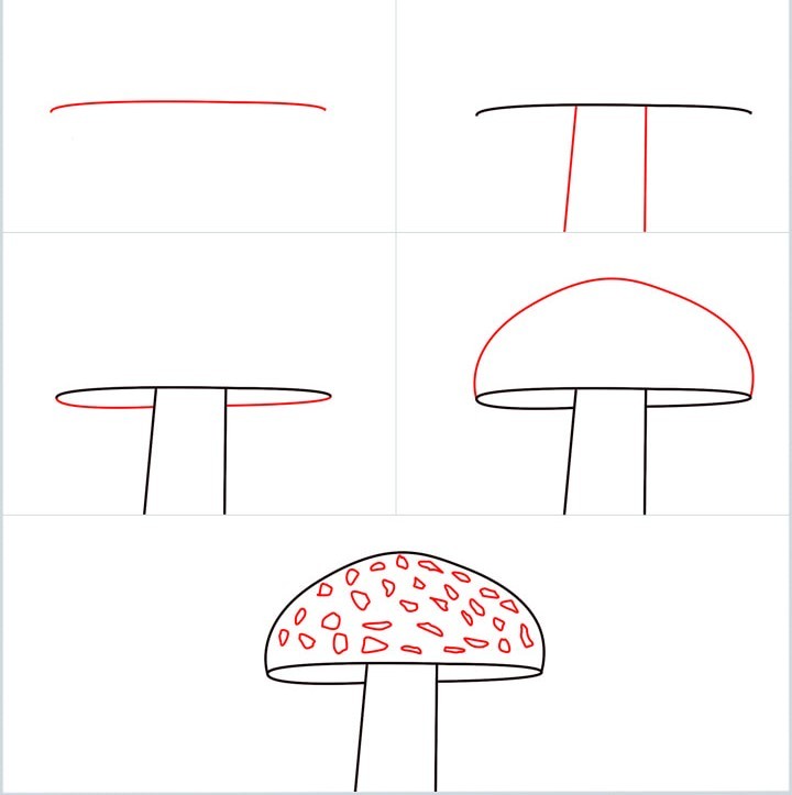 Mushroom Drawing Reference 13