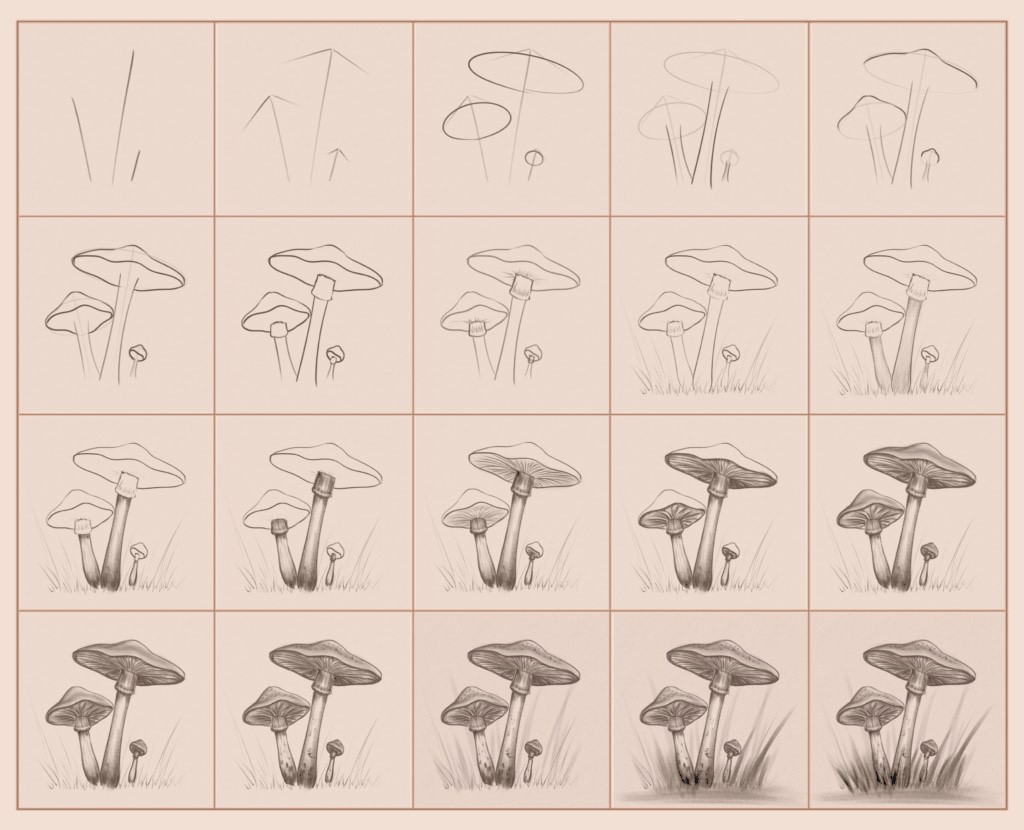 Mushroom Drawing Reference 14