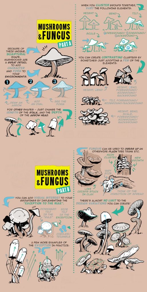 Mushroom Drawing Reference 3 515x1024