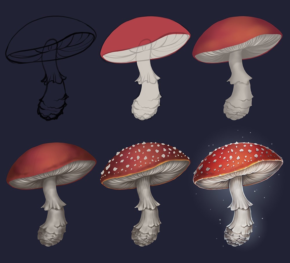 Mushroom Drawing Reference 4