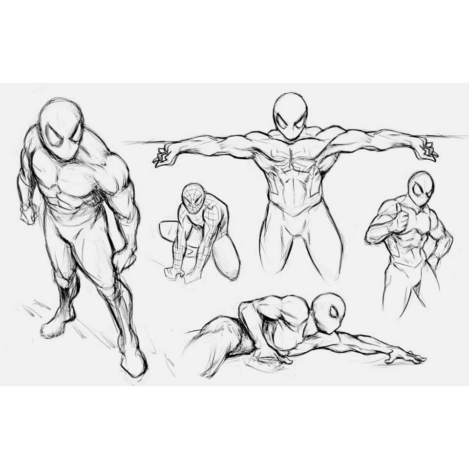 Spiderman Sketch Drawing 7