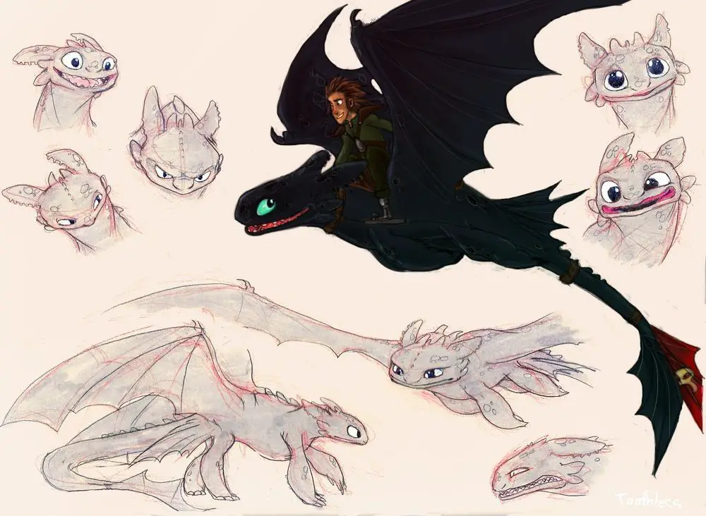Toothless Drawing Reference 12