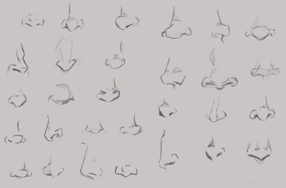 Anime Nose Drawing 4