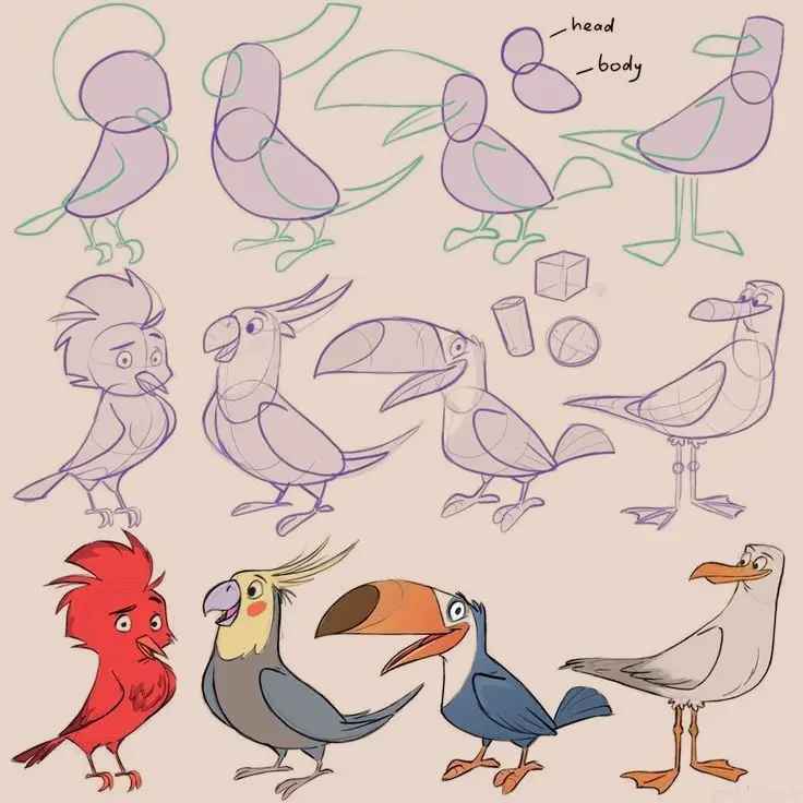 Bird Drawing Reference 5