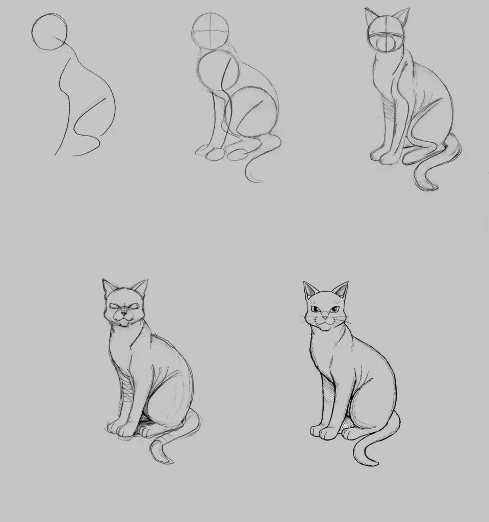 Anime Cat Drawing 10 959x1024