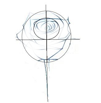 How To Draw A Rose 1