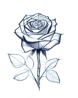 How To Draw A Rose 3
