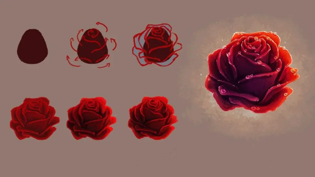Rose Drawing Reference 2 1024x578